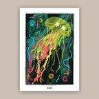 Pelagia Jellyfish - Original Art Print | Poster | Canvas